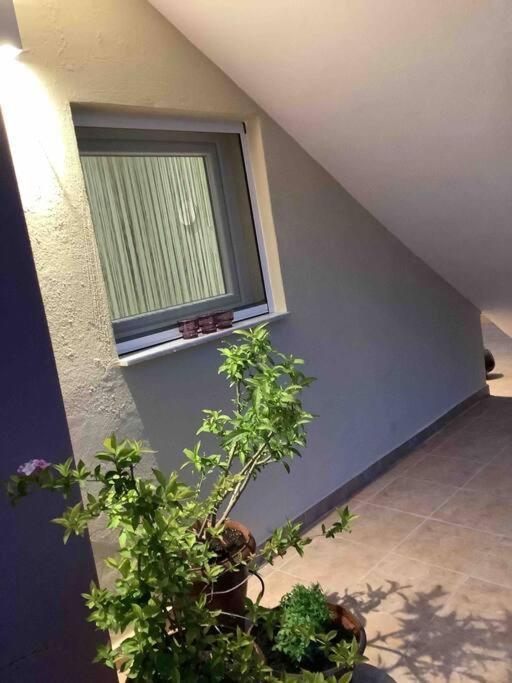 Ng Luxury Apartments At Nea Kallikrateia No 1 Экстерьер фото